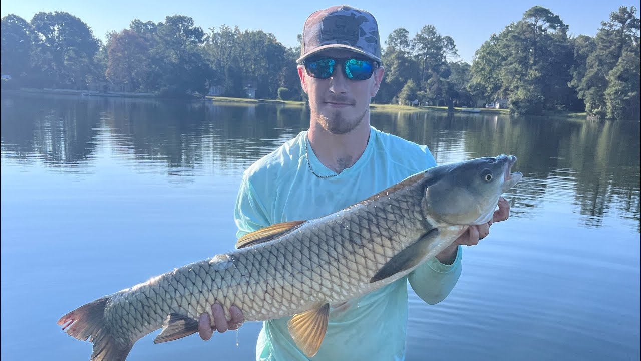 Bass fishing a subdivision pond! SURPRISE CATCH