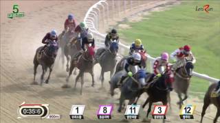20160717 렛츠런파크 부산경남 5경주 1400m