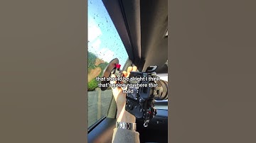 Neewer suction cup mount test #lumixs5 #neewer #suctioncup