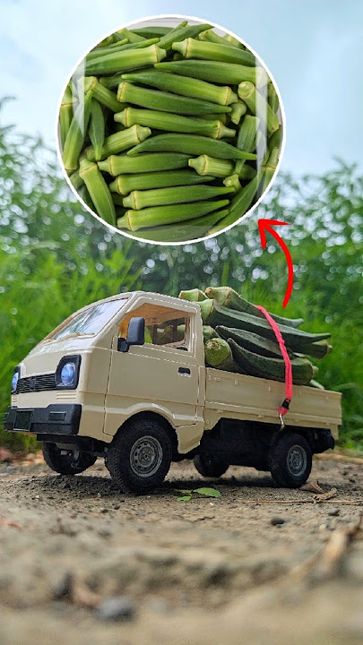 Rc Tempo Truck Chhota Hathi Pickup Truck Loaded With Ladyfinger Vegetable Series 3 #shorts #tempo