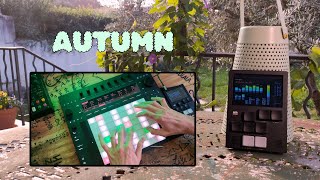 ⋆౨ৎ˚⟡˖Autumn˖⟡˚ৎ౨⋆ (Dirtywave M8)