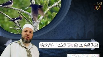 من سورة المائدة الصفحة 124 بصوت القارئ محمود عبدالله المبيض من ختمة اقرأ وارقَ