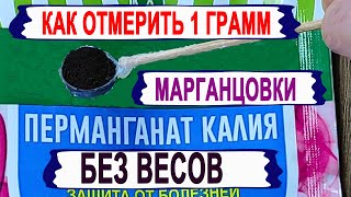 🍇 Как ОТМЕРИТЬ 1 грамм МАРГАНЦОВКИ БЕЗ ВЕСОВ. Как изготовить мерную ложечку для химикатов в огороде.