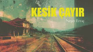 Kesik Çayır (Neşet Ertaş Rock Cover 2025) Etnomix Anatolia By Nevdem Resimi