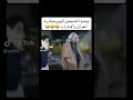 لايك اشتراك