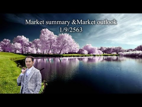 Market summary & Market outlook 1/9/2563 (part 2)