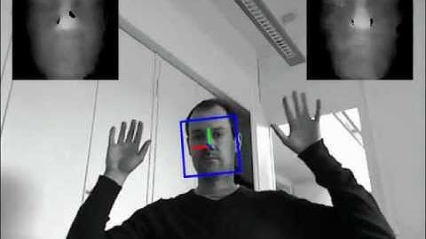 Head pose estimation on depth data based on Particle Swarm Optimization