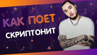 КАК ПОЕТ СКРИПТОНИТ || КАК ПОЮТ ЗВЕЗДЫ