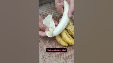 Đừng vội vứt vỏ chuối đi！ #shorts #kienthuc #facts #xuhuong #viral