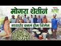 Mogra Farming Gaondhond Village : 'गायधोंड बनलं ड्रीम व्हिलेज', जिथे मोगऱ्याने आणली समृद्धी
