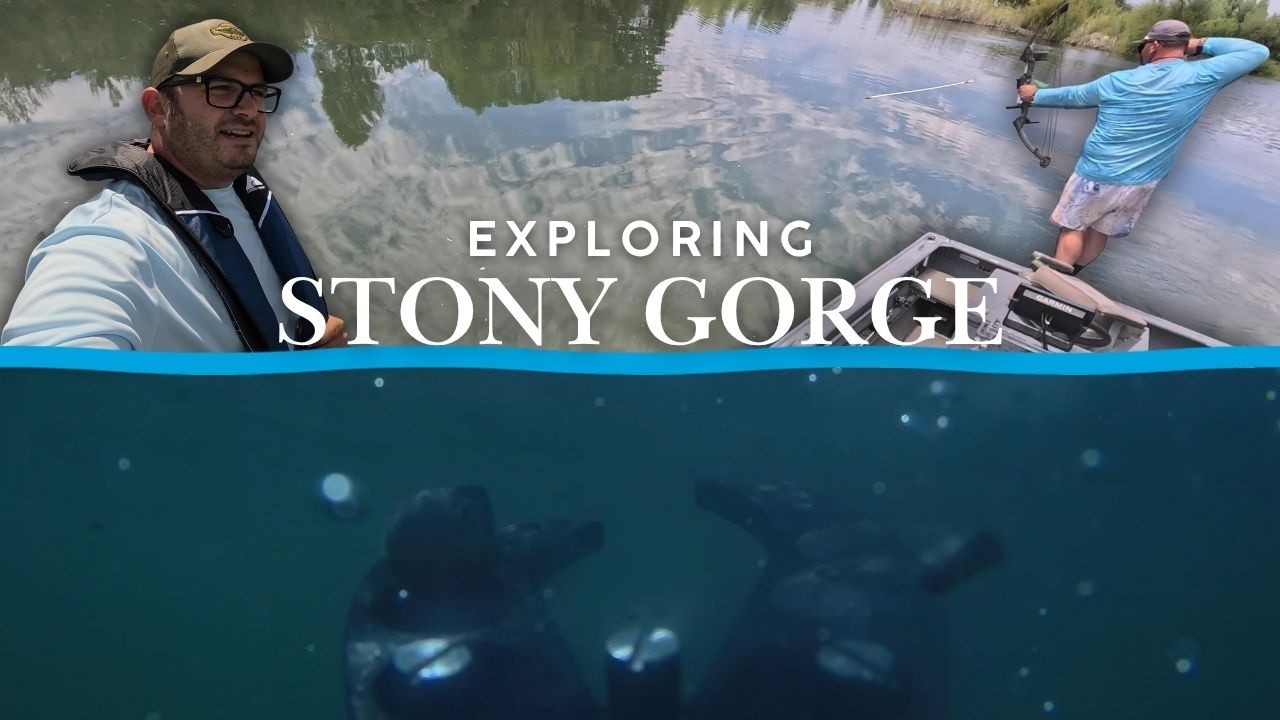Bowfishing and ROV Exploring at Stony Gorge Reservoir