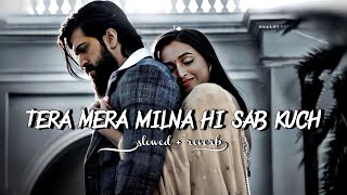 Tera Mera milna hi sab Kuch - [slowed   reverb] #hindisadsong #nathjewaryajanjeer