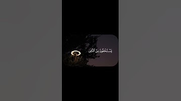 ﴿يَسْتَخْفُونَ مِنَ النَّاسِ وَلَا يَسْتَخْفُونَ مِنَ اللَّهِ﴾||سورة النساء||الشيخ ياسر الدوسري||