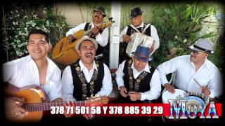 Video thumbnail of "MALUMA FELICES LOS 4 VERSION MARIACHI MOYA"