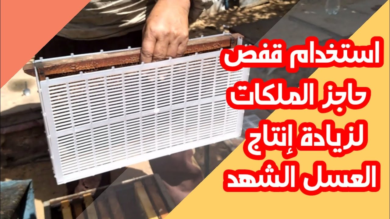 استخدام قفص حاجز الملكات لزيادة إنتاج العسل (البراويز الشهد)