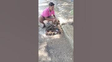 Remove Leave Full Clogged Culvert Drain #unclog #remove #culvert #shorts