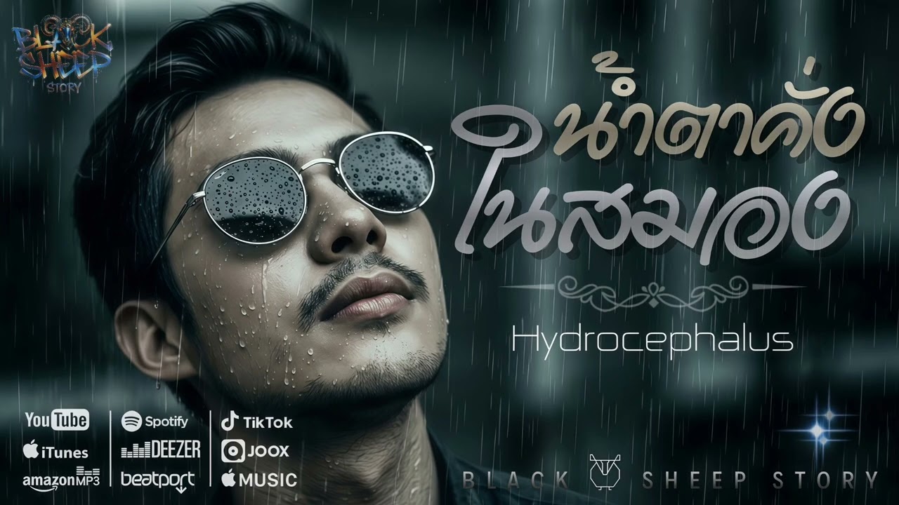 น้ำตาคั่งในสมอง ( Hydrocephalus ) by แกะดำ [ OFFICIAL AUDIO ORIGINAL ]