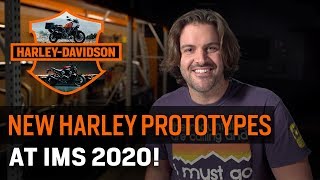 New Harley Prototypes at IMS 2020!