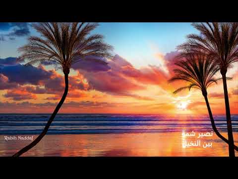نصير شمة بين النخيل