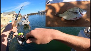 Mandurah Fishing - Catch and Cook (Bream)