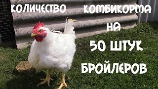 видео Комбикорм Purina для бройлеров: состав, особенности кормления и цена