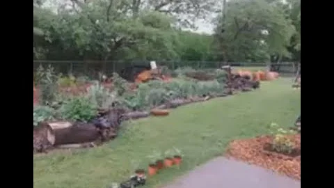 Suzanne Ricketts on Permaculture as a Foundation f...