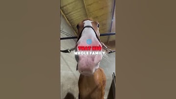 You can always tell when someone grew up with divorced parents..💔😭  @tyler.vitelli #shortsfeed