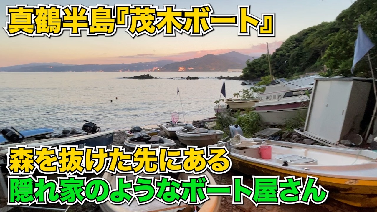 森の中に“ひっそり”とあるレンタルボート屋さんに行ったら、素敵な夏の魚たちに出会えました！真鶴半島・茂木ボート