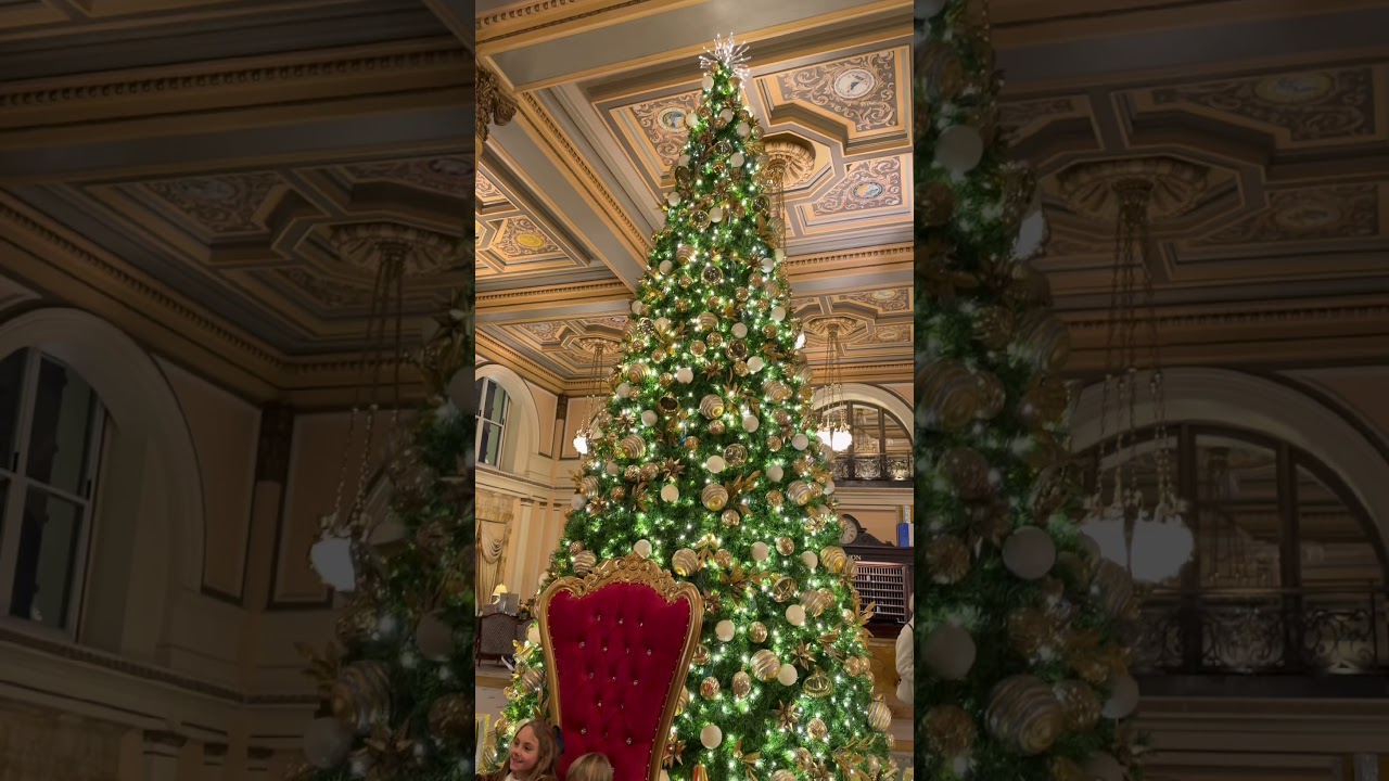 A Timeless Christmas at The Willard | Washington, D.C. 🎄✨