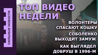 ТОП Видео: Соболенко выходит замуж / Как выглядел Добруш в 1996-м / Волонтеры спасают кошку