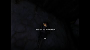 Amnesia the Dark Descent Blind Part 8-He