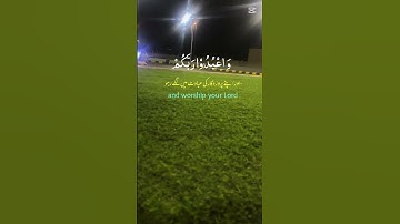 #سورة_يس #سورة_البقرة #سورة_الرحمن #سورة_الملك