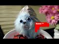 Vodafone Reclame - Mobiel Internet