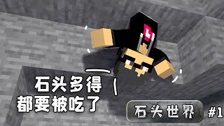 被流放到一個只有石頭的世界，該如何生存下去！ 【MC石頭生存】