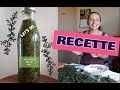 Artmisia annua  alcoolature recette  pisode 8