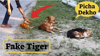 Fake tiger prank dog cats and monkey | can not stop laugh