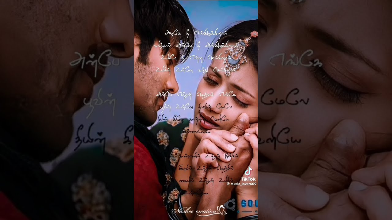 Siragugal vanthathu song sarvam