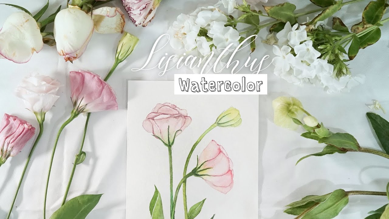 수채화 일러스트 꽃그림 그리기 | 리시안셔스 How to Paint Lisianthus Flowers | MIOK ILLUST
