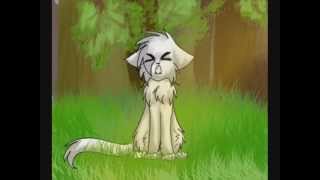 Top 5 Warrior Cats Animations