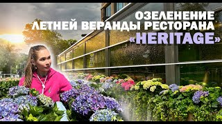 Озеленение летней веранды