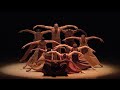 Revelations  alvin ailey american dance theater