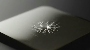 Optical Parametric Oscillation