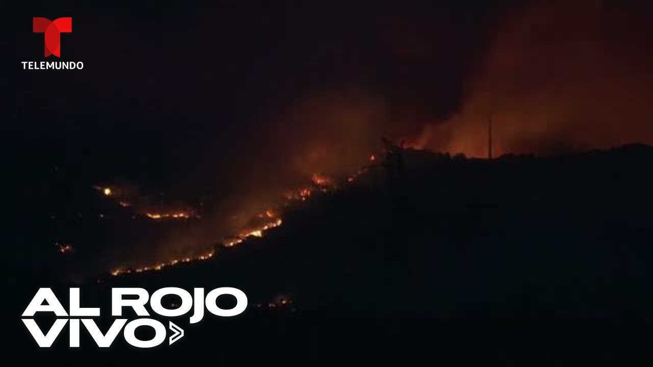 Arrasan los incendios forestales en la provincia de Zamora | Al Rojo Vivo | Telemundo