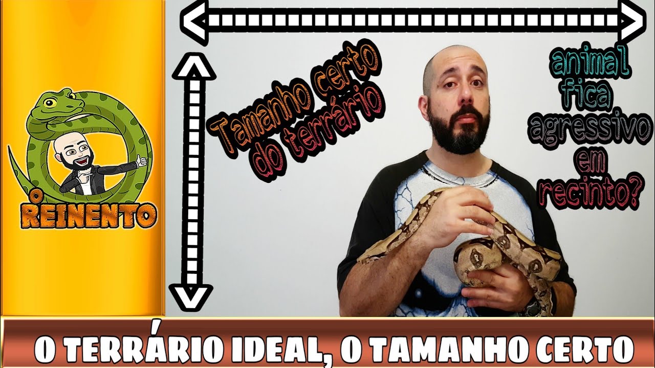 camera iphone 8 plus apk O TAMANHO DO TERRÁRIO É IMPORTANTE