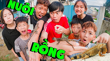 Thái Chuối | Một Ngày Đi Tìm & Chăm Sóc Thú Rừng