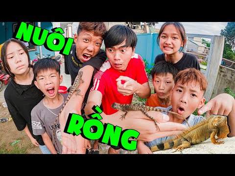 Video Thái Chuối | Một Ngày Đi Tìm & Chăm Sóc Thú Rừng - youtube