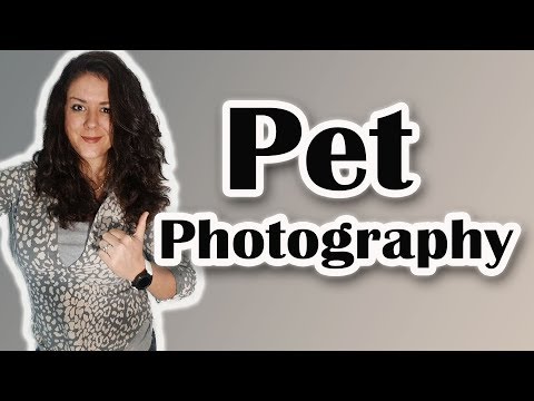 Grundlæggende om at starte din egen kæledyrsfotograferingsvirksomhed