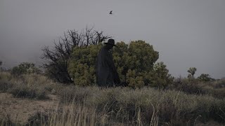 THE RAVEN on his way to deliver the tour announcement next week. WITCHZ next chapter coming.