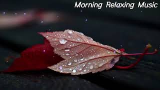 Stress Reliever, Easy to Sleep, Relaxing Piano Music, Lullaby, Calm Music