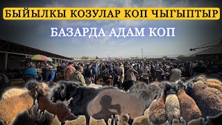 видео: Жалал абад кой базары.  #малбазар2025 #койбазар #жалалабадмалбазары  картинка: Жалал абад кой базары.  #малбазар2025 #койбазар #жалалабадмалбазары